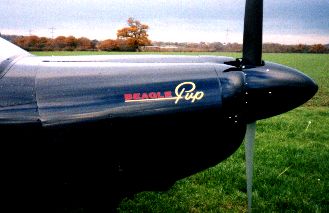 Restored Beagle Pup Logo