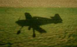 Your shadow at evening rising to meet you